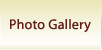 Photo Gallery